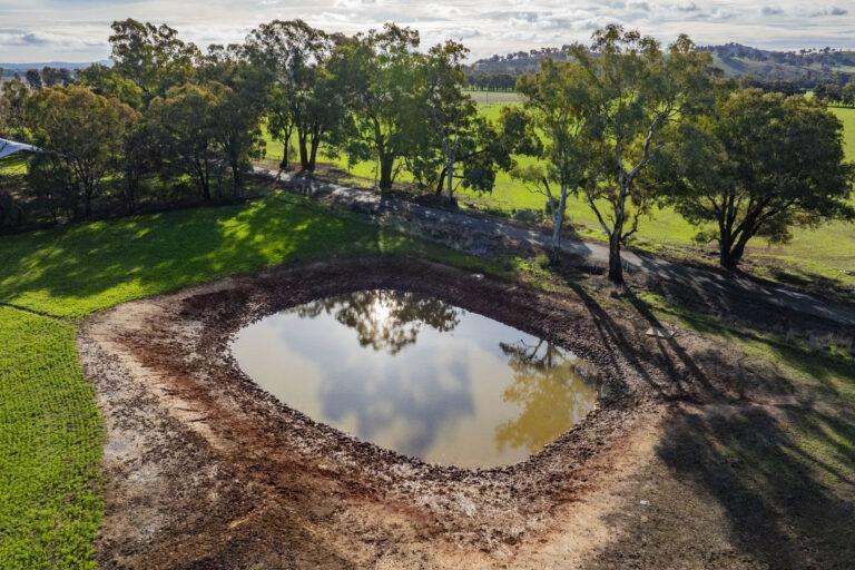 4646 Holbrook Road, Mangoplah Auction by Farmbuy.com - image 56