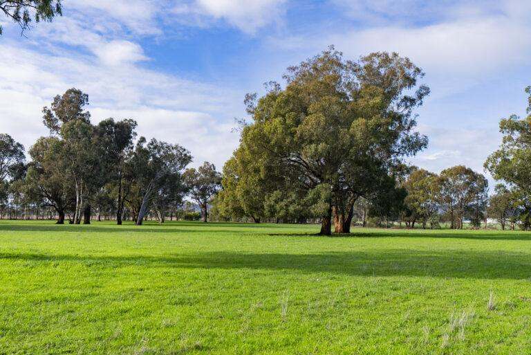 4646 Holbrook Road, Mangoplah Auction by Farmbuy.com - image 52