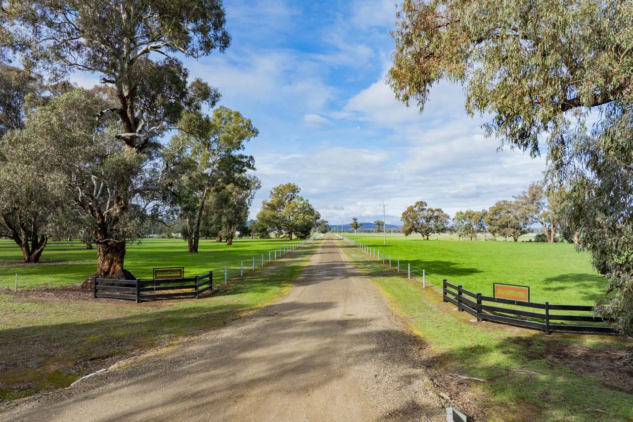 4646 Holbrook Road, Mangoplah Auction by Farmbuy.com - image 4