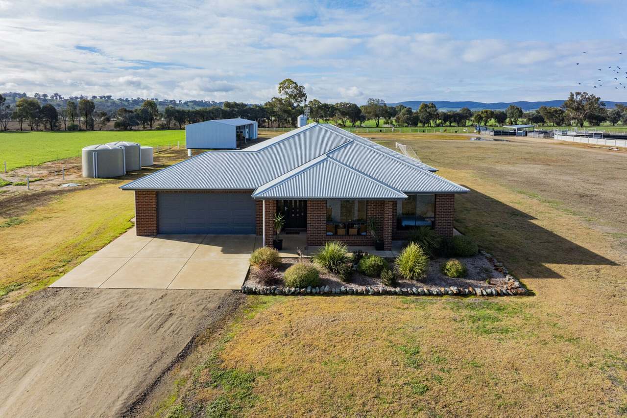 4646 Holbrook Road, Mangoplah Auction by Farmbuy.com - image 5