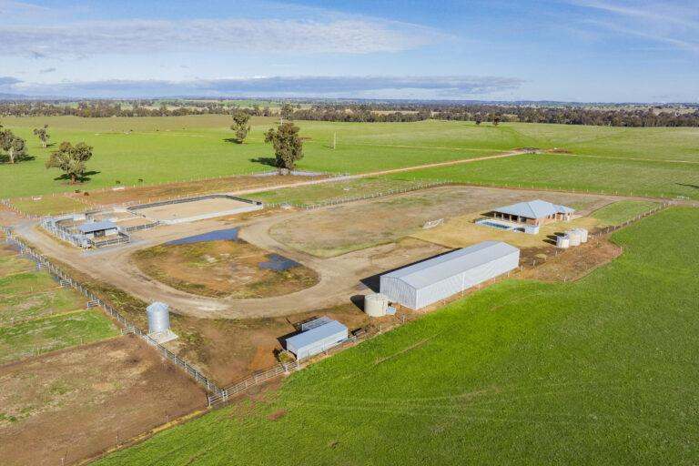 4646 Holbrook Road, Mangoplah Auction by Farmbuy.com - image 27