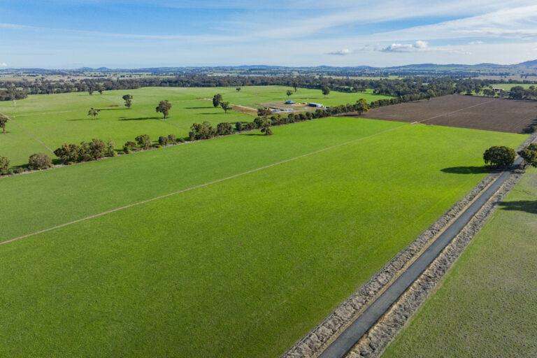 4646 Holbrook Road, Mangoplah Auction by Farmbuy.com - image 51
