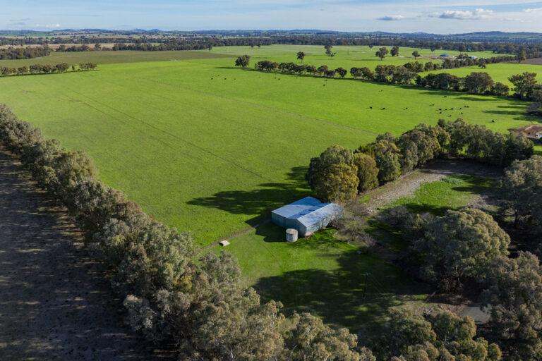 4646 Holbrook Road, Mangoplah Auction by Farmbuy.com - image 53
