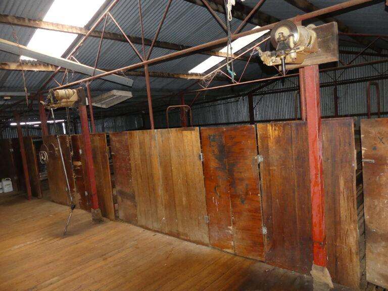 4646 Holbrook Road, Mangoplah Auction by Farmbuy.com - image 54