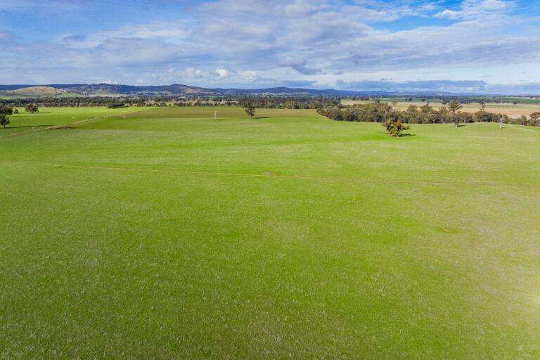4646 Holbrook Road, Mangoplah Auction by Farmbuy.com - image 47