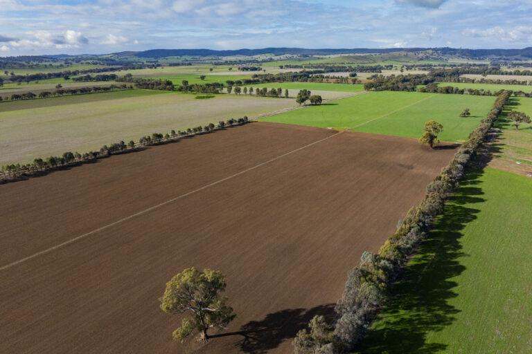 4646 Holbrook Road, Mangoplah Auction by Farmbuy.com - image 55