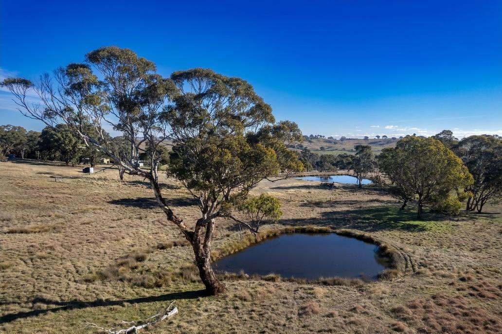 Lot 180 Goulburn Street, Binda For Sale by Farmbuy.com - image 4