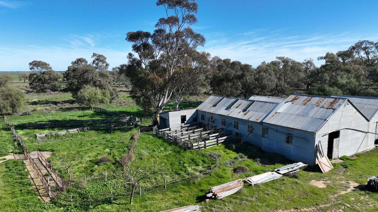 Smeatonvale Laterals Boree-Morago Road, Deniliquin Expressions of Interest by Farmbuy.com - image 21