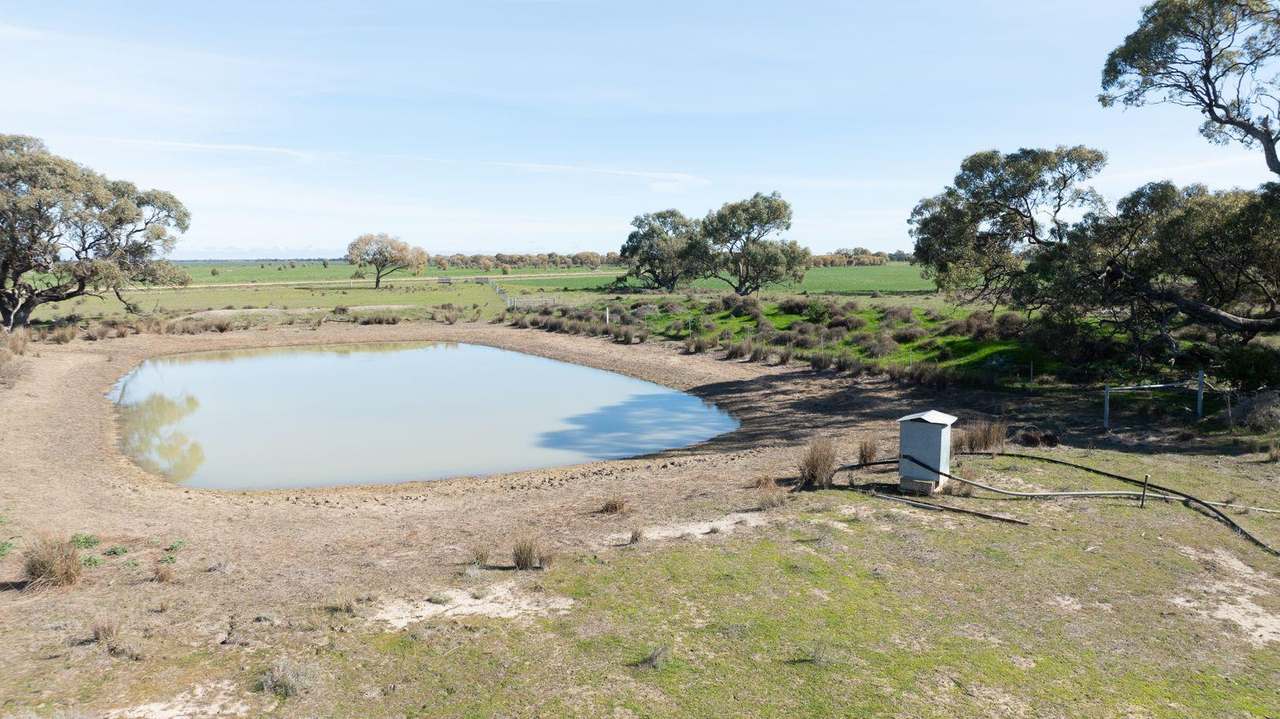 Smeatonvale Laterals Boree-Morago Road, Deniliquin Expressions of Interest by Farmbuy.com - image 20