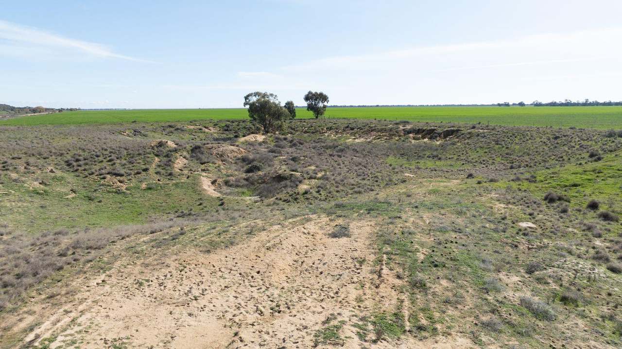 Smeatonvale Laterals Boree-Morago Road, Deniliquin Expressions of Interest by Farmbuy.com - image 23