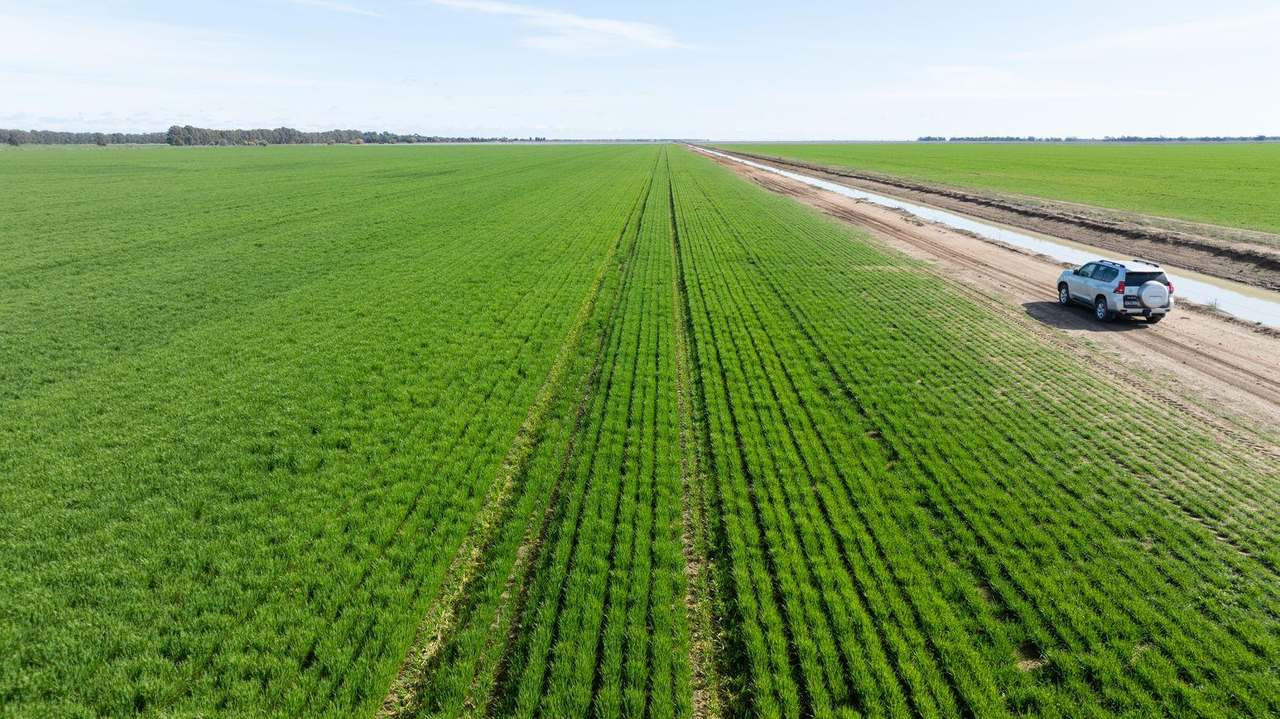 Smeatonvale Laterals Boree-Morago Road, Deniliquin Expressions of Interest by Farmbuy.com - image 5