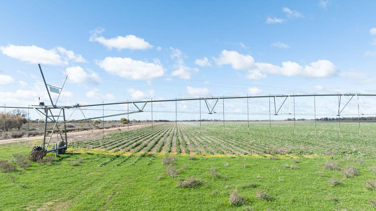 Smeatonvale Laterals Boree-Morago Road, Deniliquin Expressions of Interest by Farmbuy.com - image 8