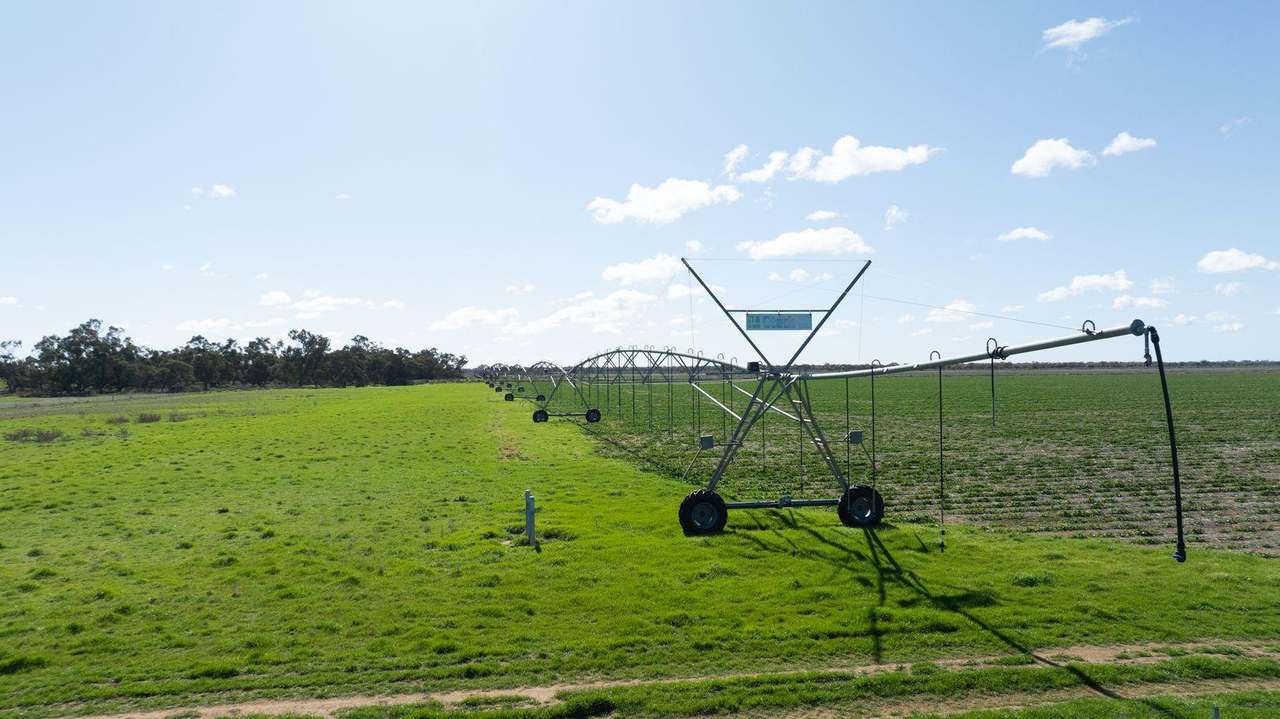 Smeatonvale Laterals Boree-Morago Road, Deniliquin Expressions of Interest by Farmbuy.com - image 7