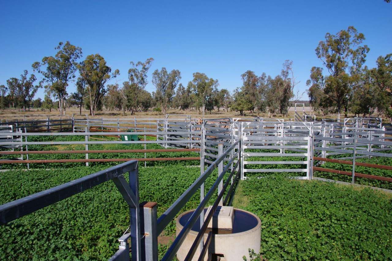 637 Mellburra Road, Narrabri Auction by Farmbuy.com - image 21