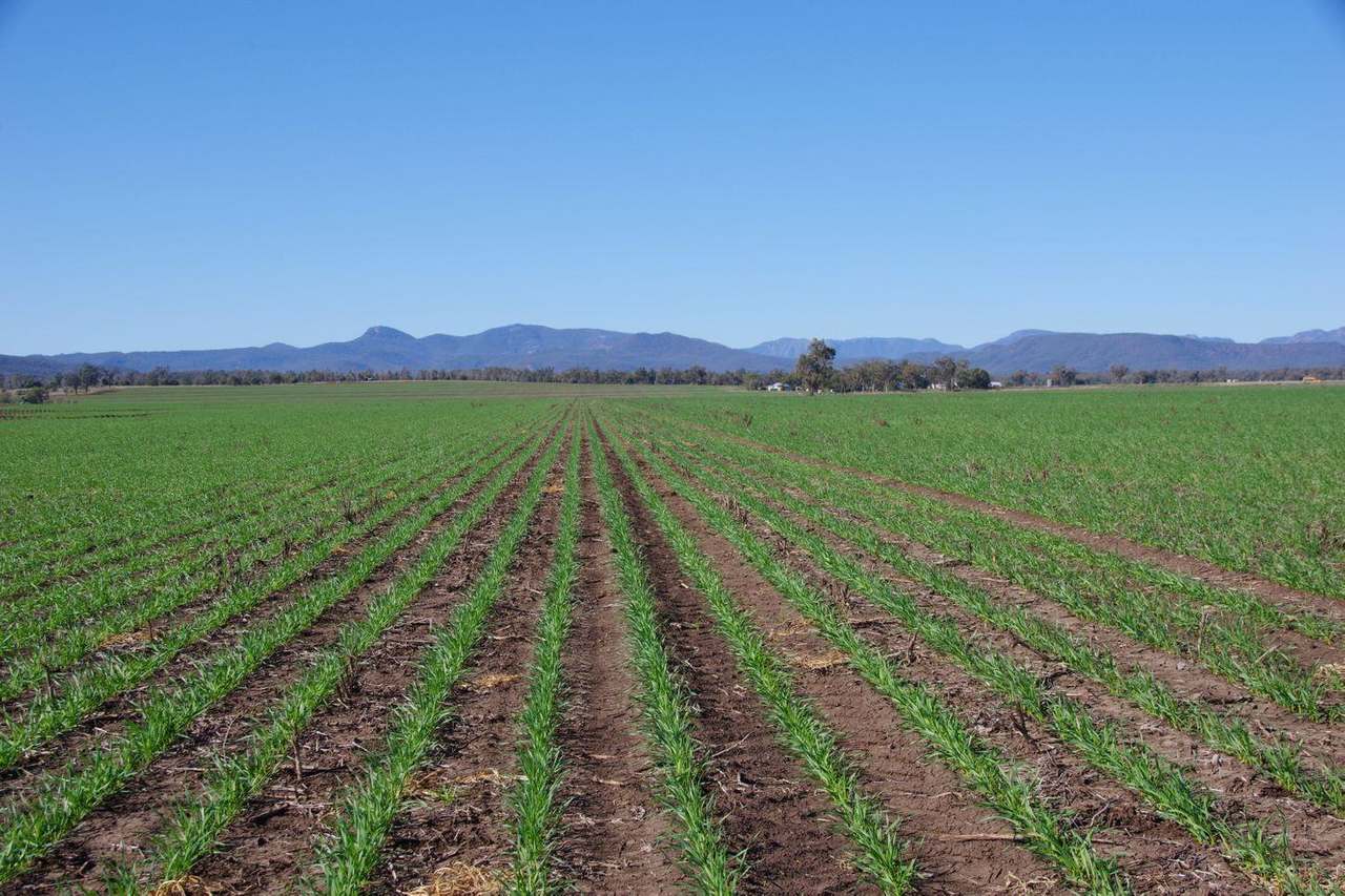 637 Mellburra Road, Narrabri Auction by Farmbuy.com - image 28