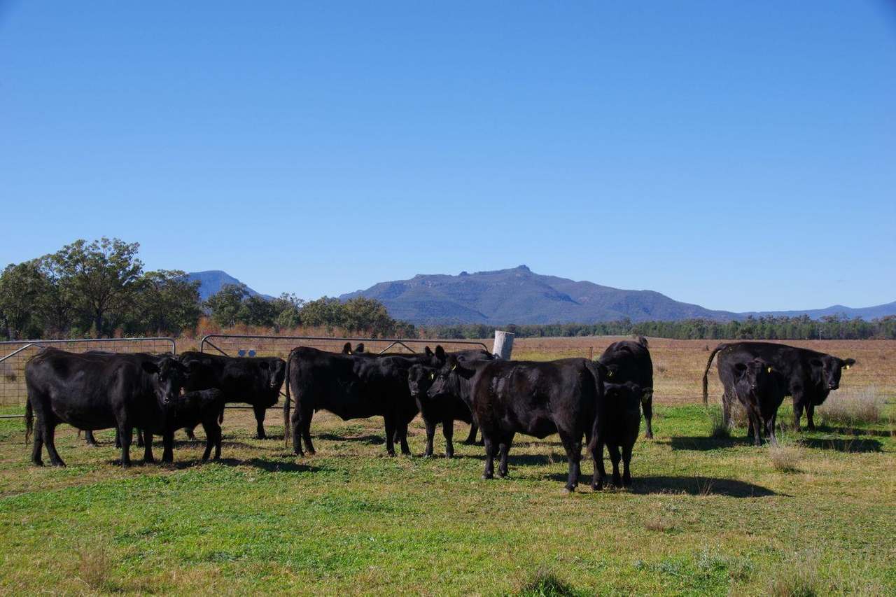 637 Mellburra Road, Narrabri Auction by Farmbuy.com - image 22