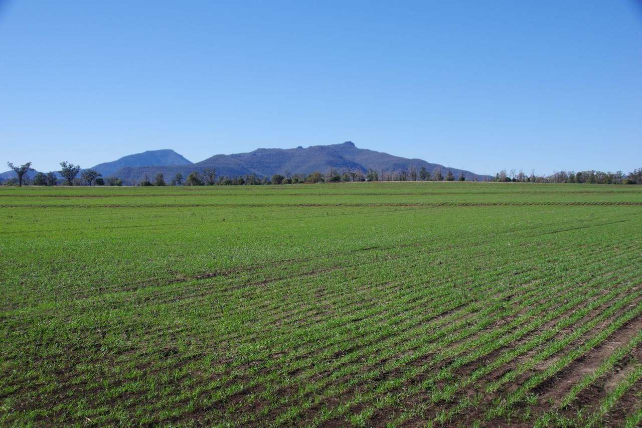 637 Mellburra Road, Narrabri Auction by Farmbuy.com - image 7