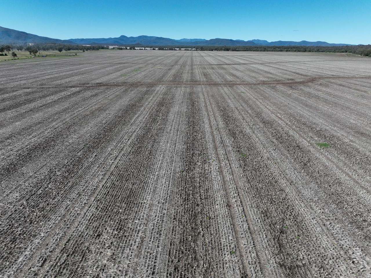 637 Mellburra Road, Narrabri Auction by Farmbuy.com - image 6