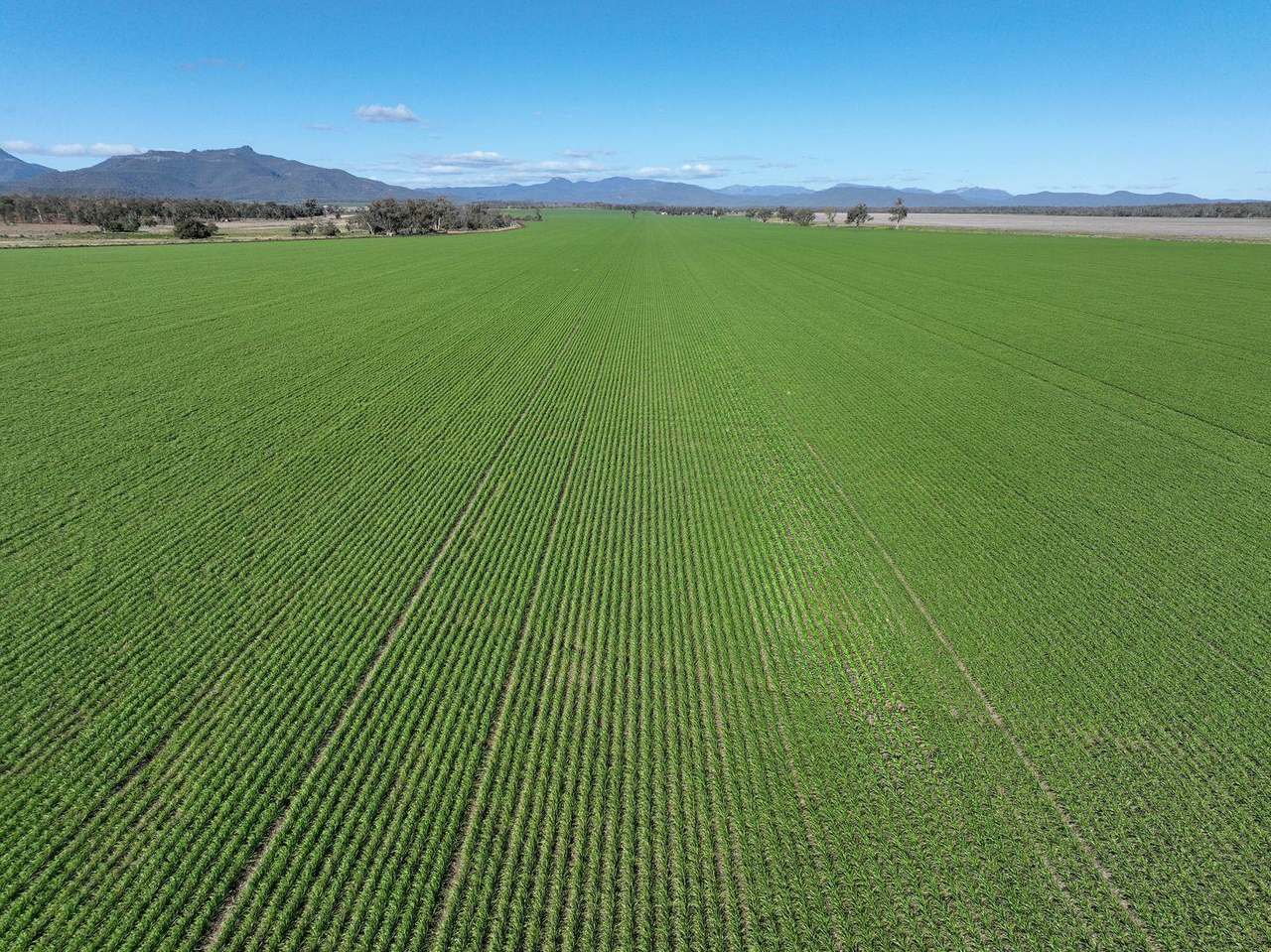 637 Mellburra Road, Narrabri Auction by Farmbuy.com - image 19