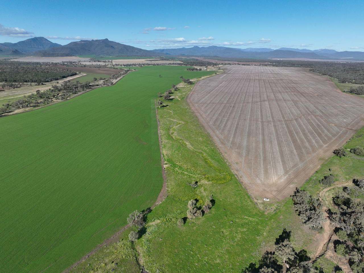 637 Mellburra Road, Narrabri Auction by Farmbuy.com - image 15