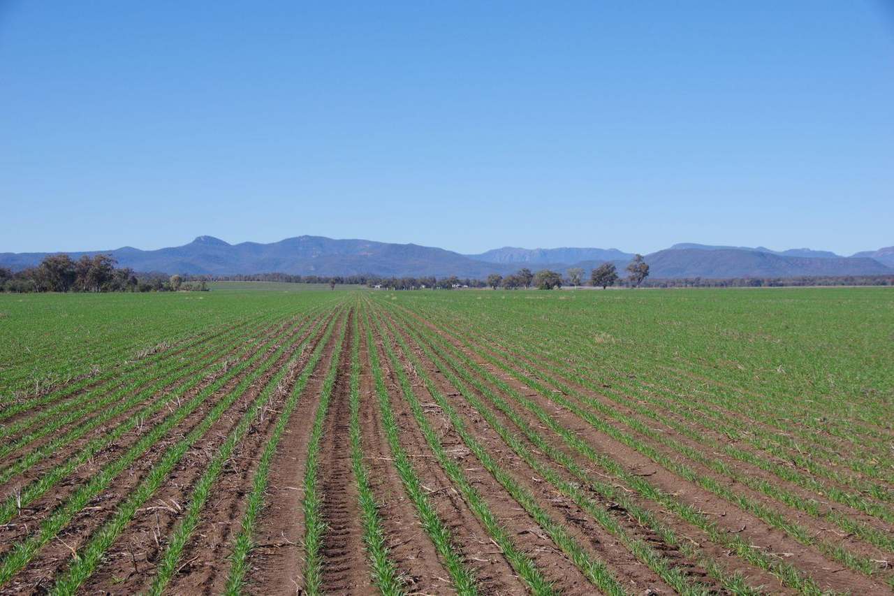637 Mellburra Road, Narrabri Auction by Farmbuy.com - image 35