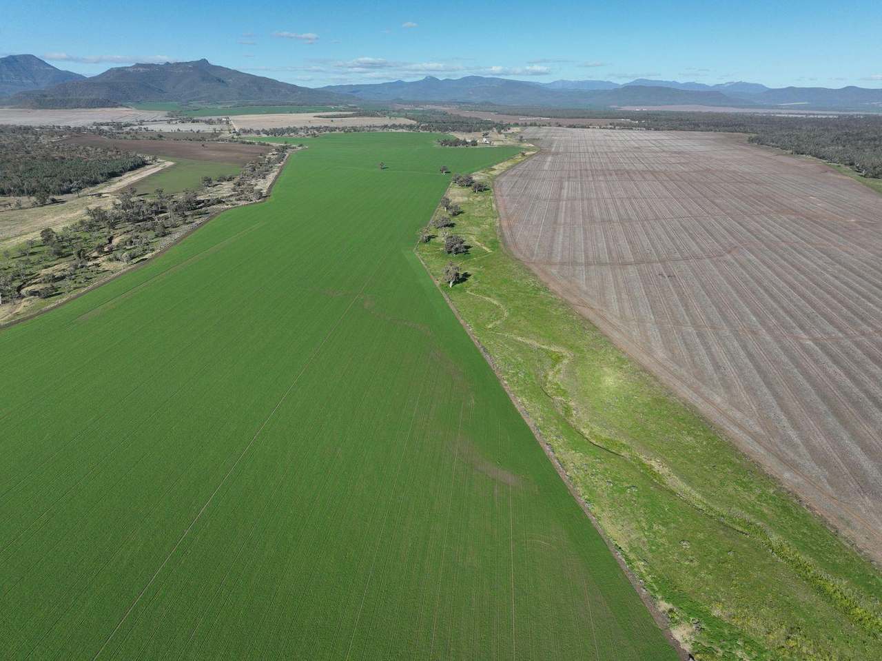 637 Mellburra Road, Narrabri Auction by Farmbuy.com - image 29
