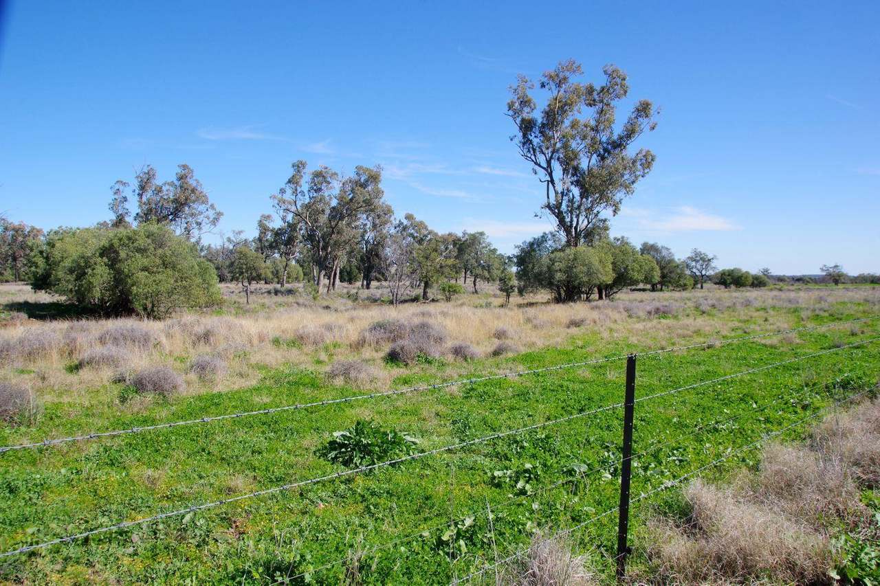 637 Mellburra Road, Narrabri Auction by Farmbuy.com - image 26