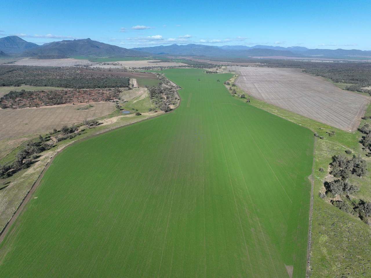 637 Mellburra Road, Narrabri Auction by Farmbuy.com - image 17