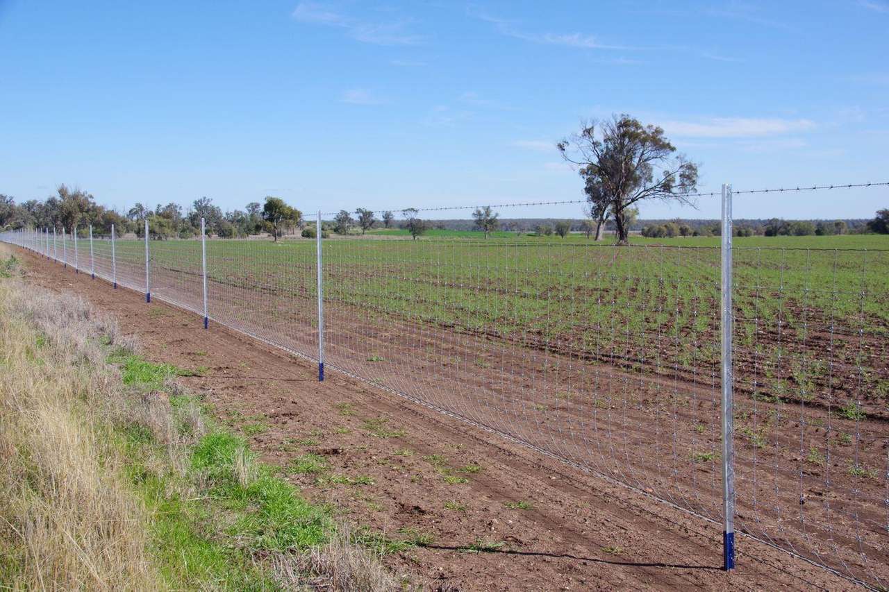 637 Mellburra Road, Narrabri Auction by Farmbuy.com - image 34