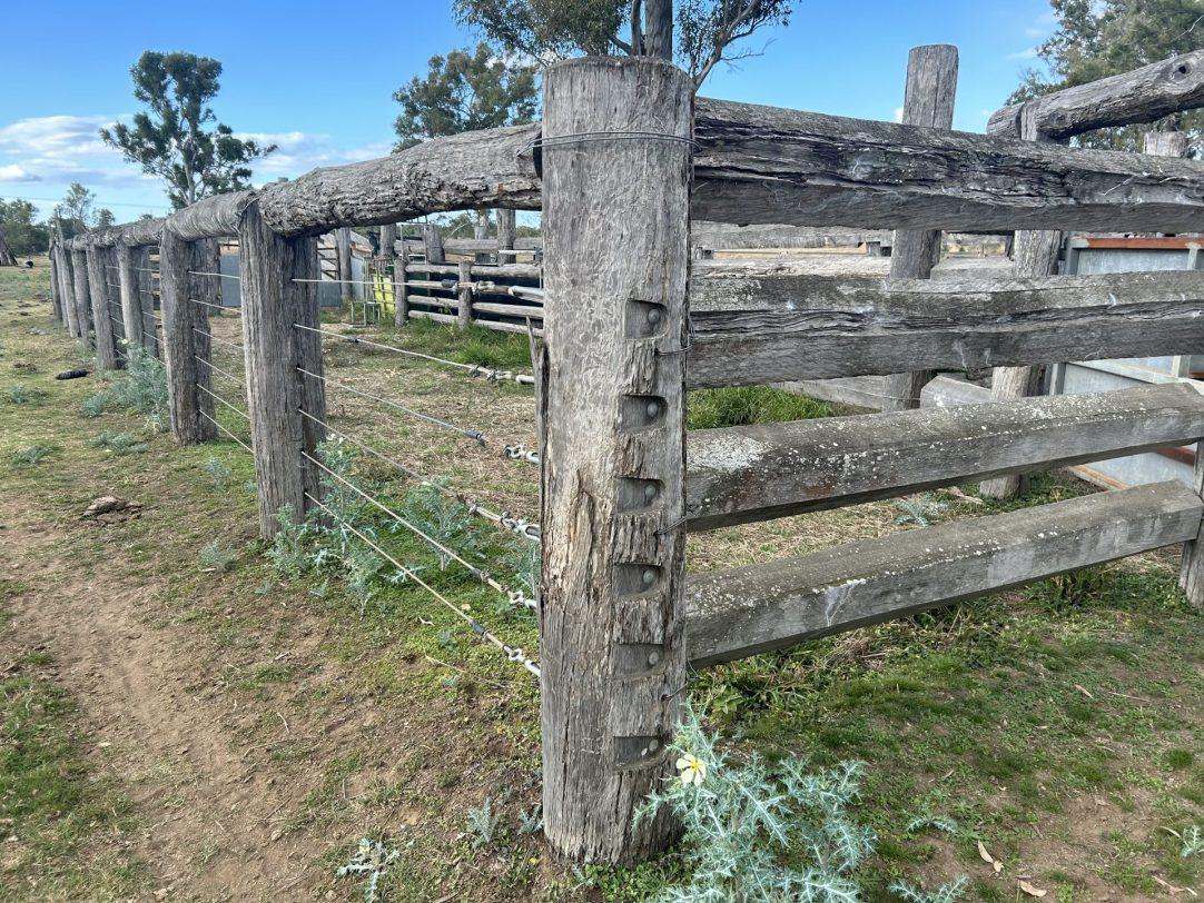 Cunningham Road, Alton Downs For Sale by Farmbuy.com - image 11