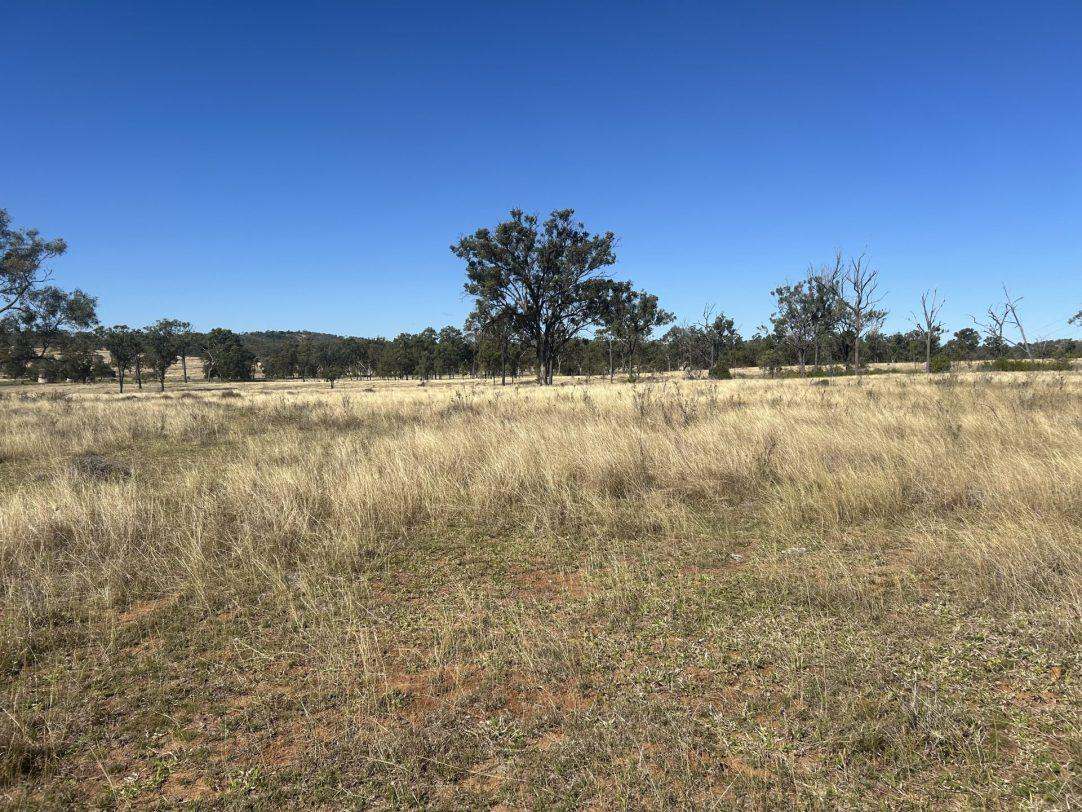 Cunningham Road, Alton Downs For Sale by Farmbuy.com - image 17