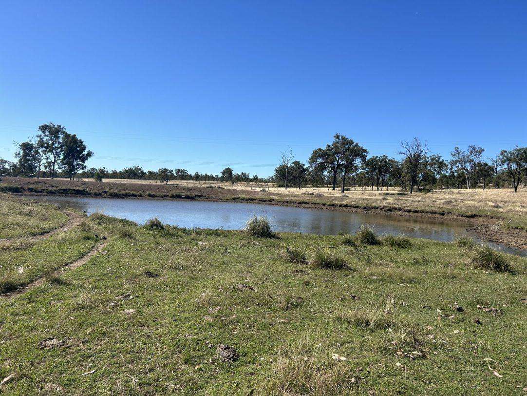 Cunningham Road, Alton Downs For Sale by Farmbuy.com - image 3