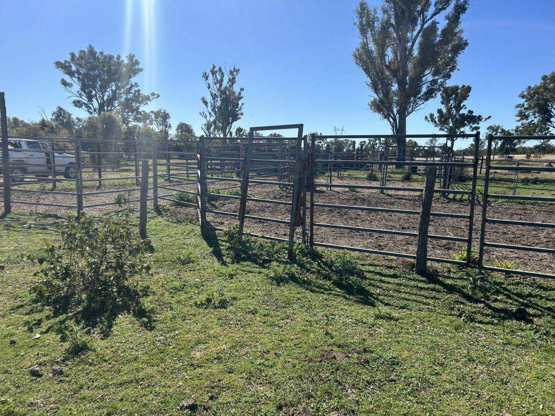 Cunningham Road, Alton Downs For Sale by Farmbuy.com - image 12