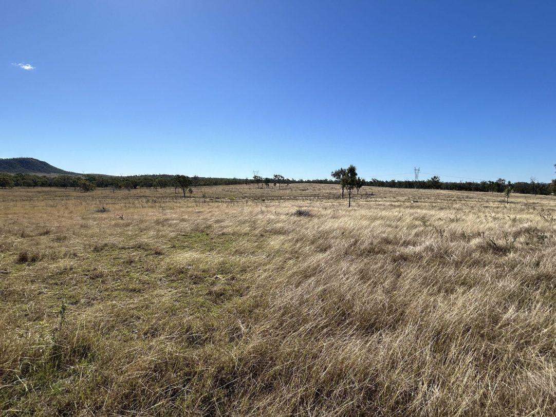Cunningham Road, Alton Downs For Sale by Farmbuy.com - image 16