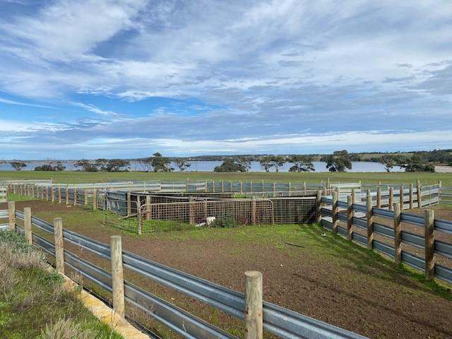 172B Duck Lake Road, Wangary Sold by Farmbuy.com - image 6