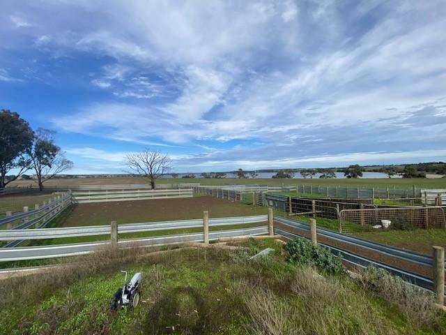 172B Duck Lake Road, Wangary Sold by Farmbuy.com - image 8