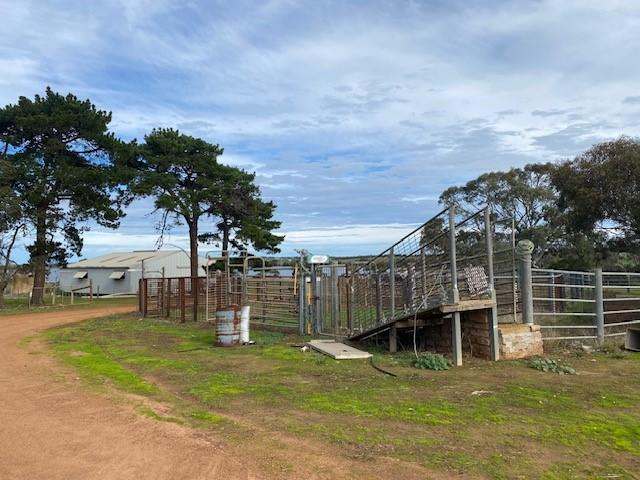 172B Duck Lake Road, Wangary Sold by Farmbuy.com - image 10