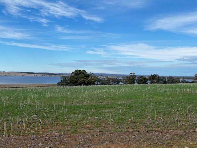172B Duck Lake Road, Wangary Sold by Farmbuy.com - image 3