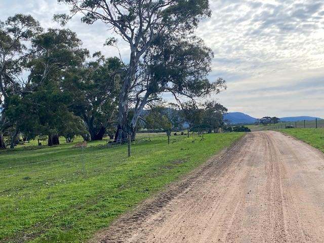 172B Duck Lake Road, Wangary Sold by Farmbuy.com - image 18