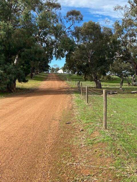172B Duck Lake Road, Wangary Sold by Farmbuy.com - image 25