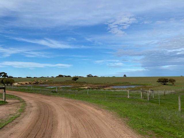 172B Duck Lake Road, Wangary Sold by Farmbuy.com - image 19