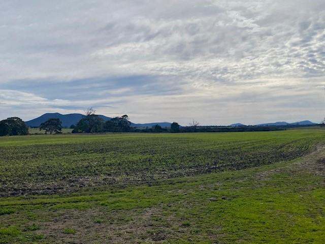 172B Duck Lake Road, Wangary Sold by Farmbuy.com - image 22