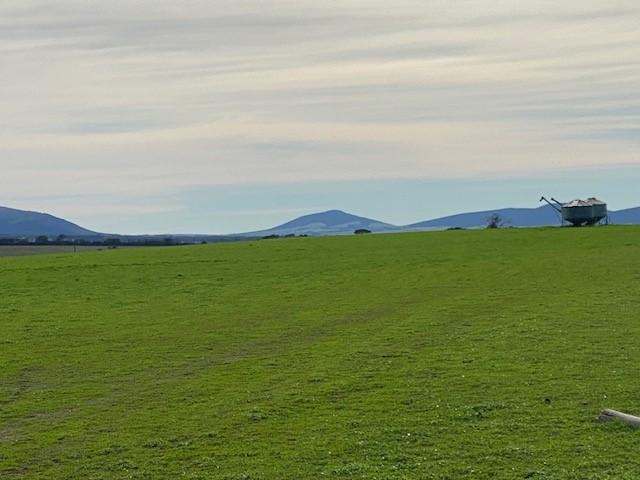 172B Duck Lake Road, Wangary Sold by Farmbuy.com - image 15