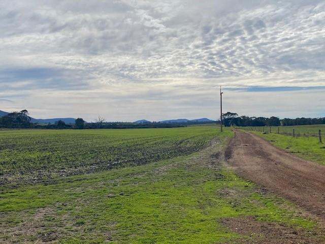 172B Duck Lake Road, Wangary Sold by Farmbuy.com - image 23