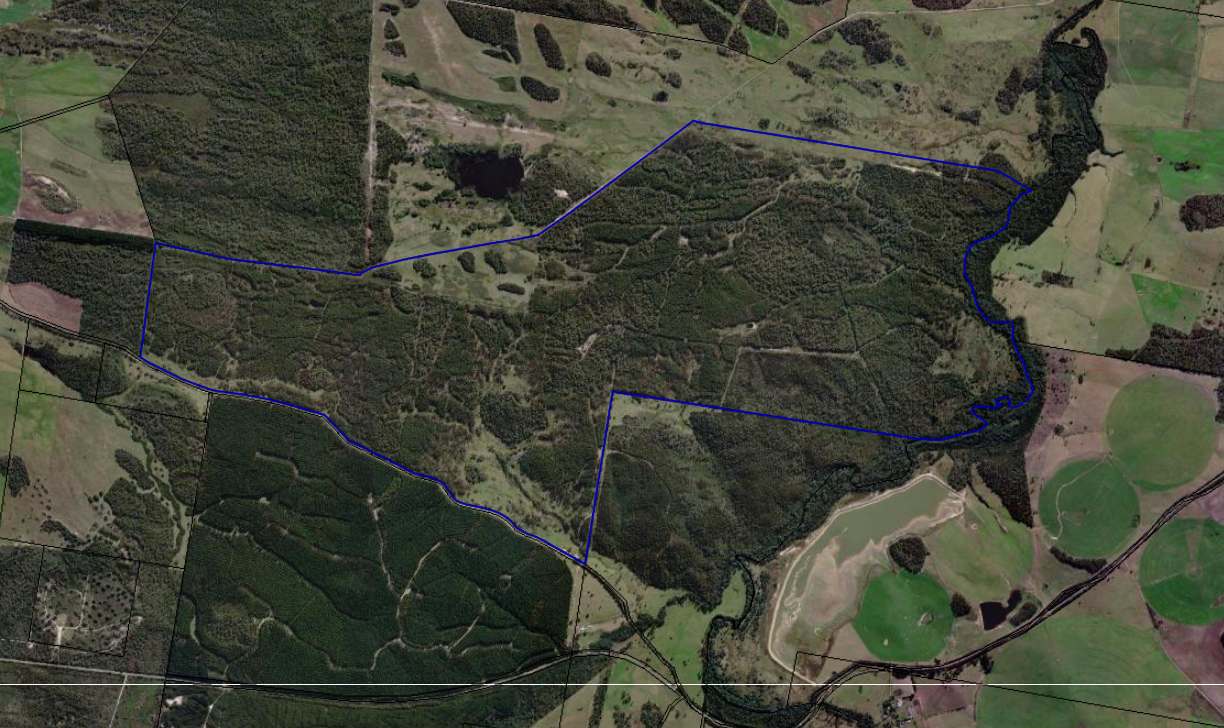 Saltwood Road, Bridport For Sale by Farmbuy.com - image 6