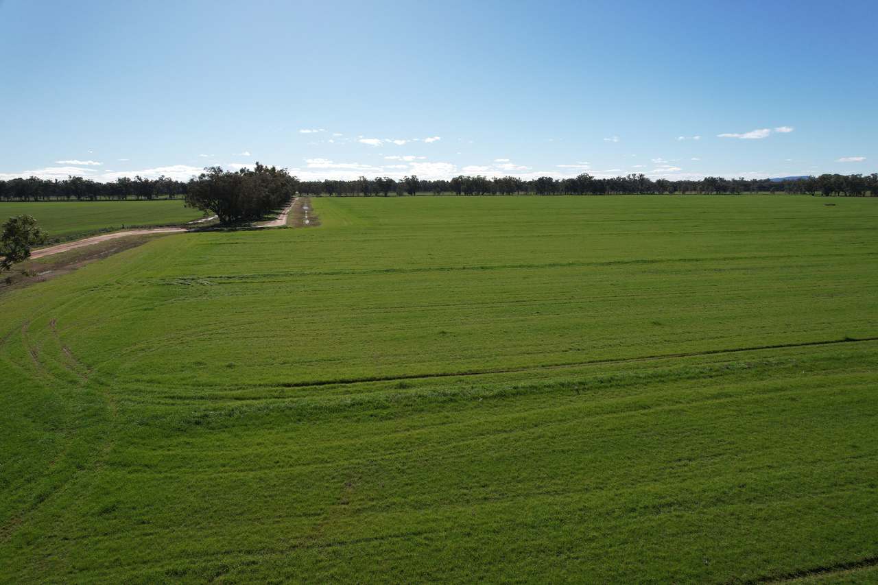 8065 Lachlan Valley Way, Forbes For Sale by Farmbuy.com - image 2