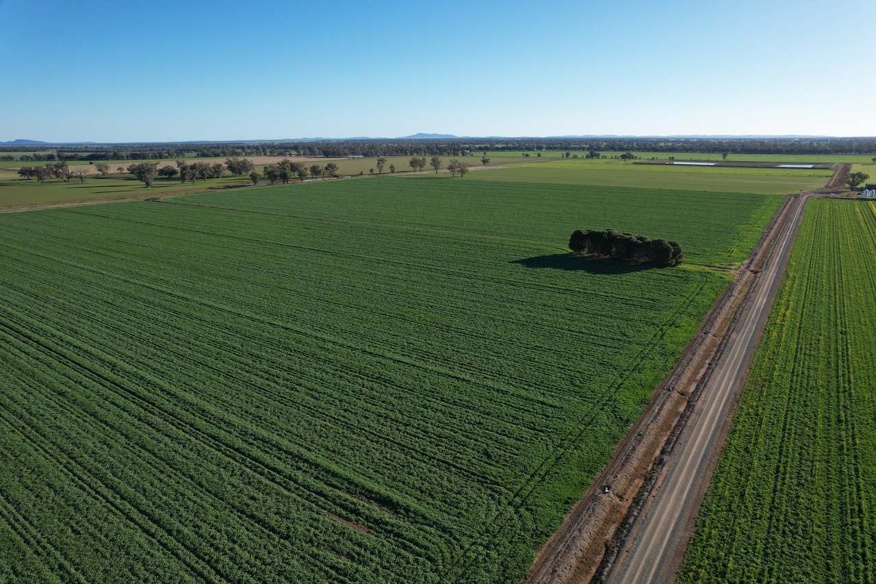 8065 Lachlan Valley Way, Forbes For Sale by Farmbuy.com - image 6