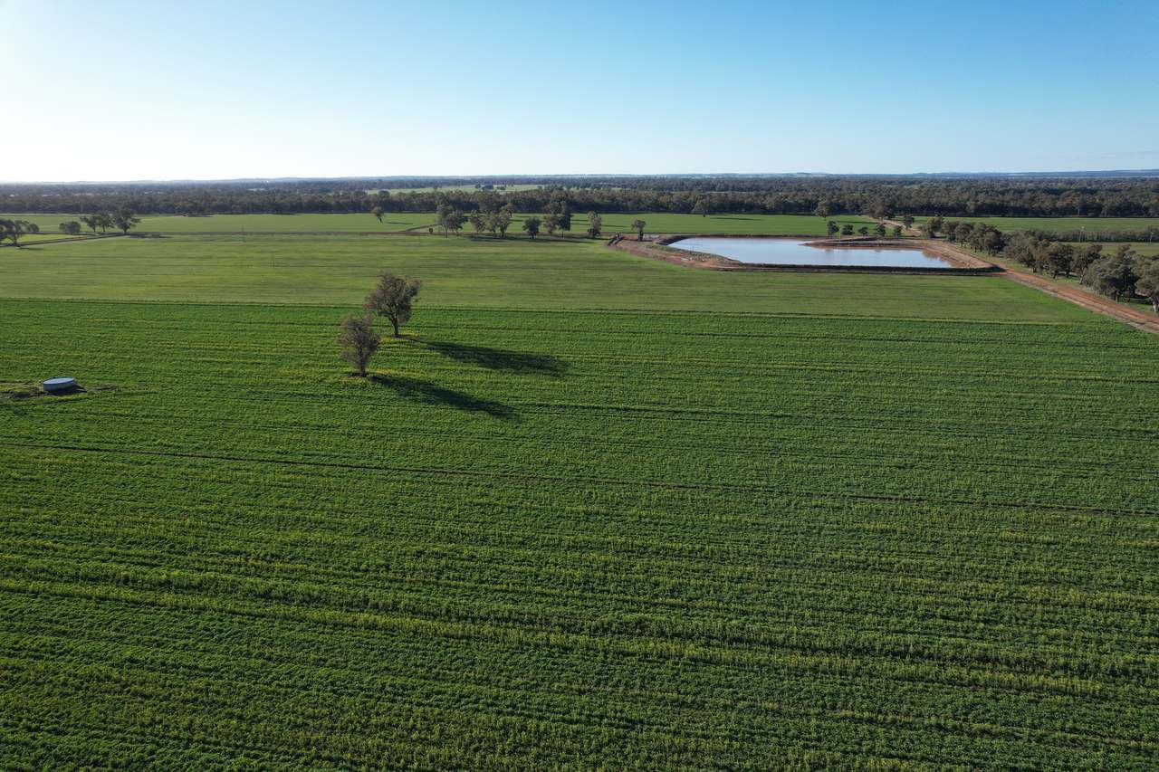 8065 Lachlan Valley Way, Forbes For Sale by Farmbuy.com - image 9