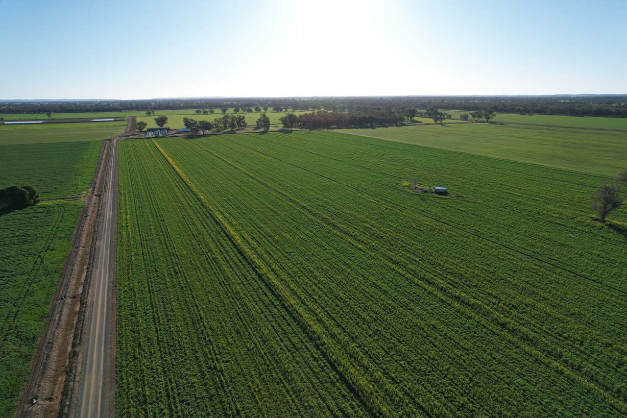 8065 Lachlan Valley Way, Forbes For Sale by Farmbuy.com - image 8