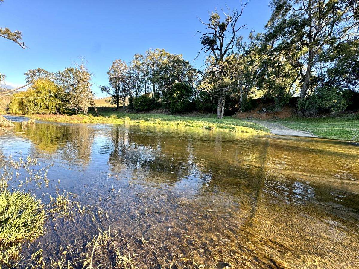 Hunter Road Moonan Flat (Via), Scone Auction by Farmbuy.com - image 30